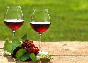 Как сделать вино из калины