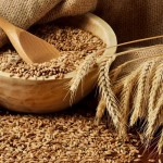 Рецепт браги из пшеницы