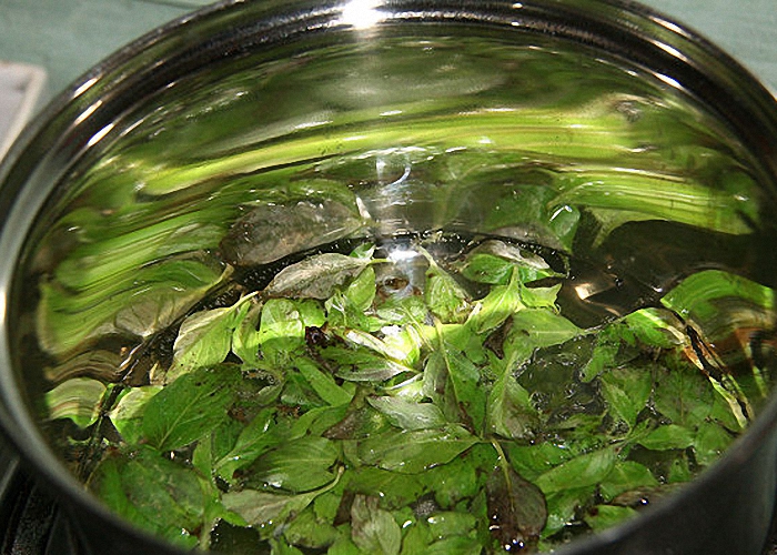 Нагреть воду с мятными листьями