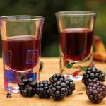 Домашние рецепты вин из ежевики