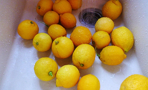 Хорошо помойте и просушите лимоны