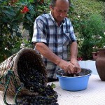 Технология изготовления чачи в домашних условиях