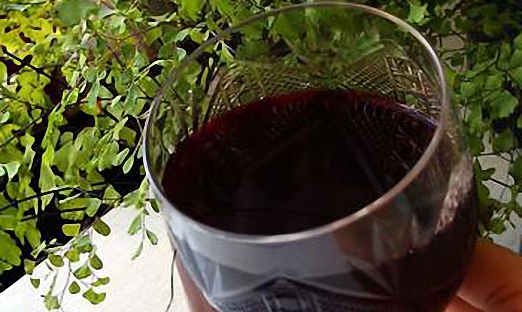 Крепленое рябиновое вино с добавлением корицы