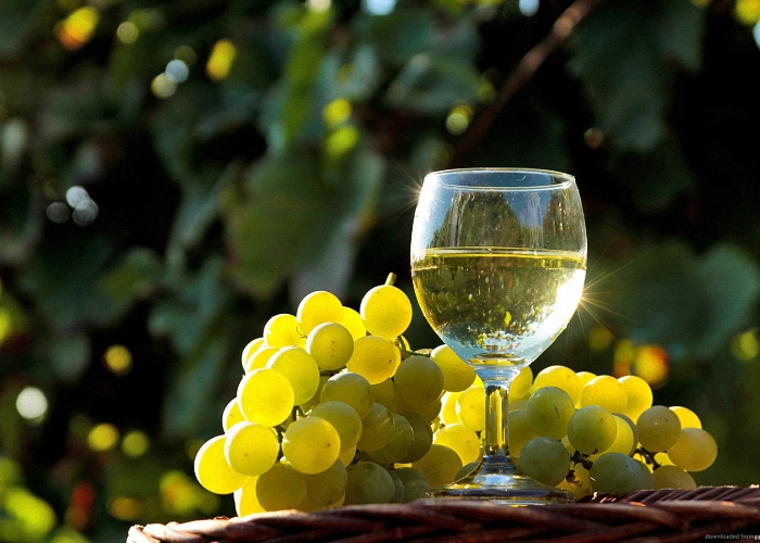Белое домашнее вино из винограда